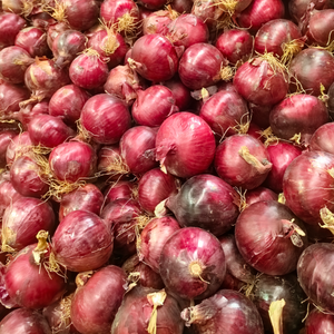 Cebolla Fresca Roja, Amarilla y Blanca, <span class=keywords><strong>Precio</strong></span> al por Mayor para Exportación - Product Image 5