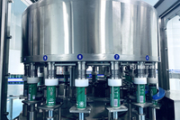 Usine de traitement clé en main pour le remplissage automatique à chaud de petites canettes de café glacé et de jus de raisin