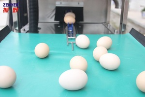 Équipement de traitement des œufs automatique, machine à laver les œufs avec CE, livraison gratuite - Product Image 5