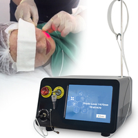 Machine professionnelle de liposuccion Laser Endolaser 1470nm Fibra Endolaser Lipolise Endolaser Machine