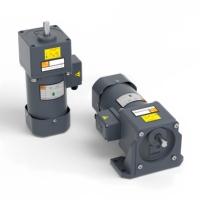 Moteur à induction monophasé 80 mm 4GN-4IK25W 220 V CA avec réducteur à vitesse variable et support