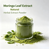 Venta al por mayor de fábrica, muestra gratuita, polvo de hoja de moringa de grado alimenticio 100 mesh para té de hierbas, materia prima para formulación de alimentos funcionales