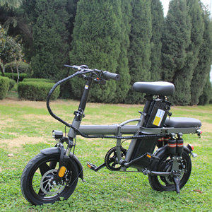 Bicicleta Eléctrica Y2-FB 2024, Gran Oferta, No Plegable, 750w, 48v, Neumáticos Anchos, para Adultos, Económica - Product Image 1