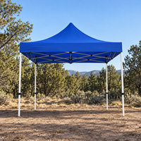 Tente de réception 10x10 pieds unie, imperméable et résistante aux UV, personnalisable en gros pour usage extérieur