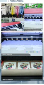 Cowint Set Or Tank All Circulation Dtf Sublimation Printer Solvent Ink Xp600 For Shirt And Textile Printing Uninet Dtf Ink