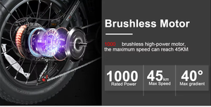 OEM/ODM 1000D Ebike 48V Fat Tire Electric Bicycle with Rear Hub Brushless Motor Steel Frame Lithium Battery - Product Image 5