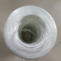 Hilo de Fibra de Vidrio C-Glass 2400Tex en Rollo, con Procesamiento de Doblado para Devanado de Filamentos de Fibra de Vidrio ECR