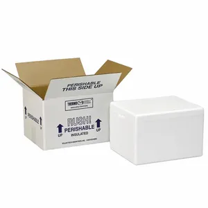 Caixa de papelão 14x14x14 para transporte, caixa de papelão branco com isolamento de isolamento, tamanho personalizado, caixa de corrente fria, isopor branco