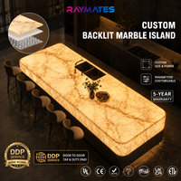 Feuille d'éclairage LED Raymates IP20 500x250mm à double température de couleur 2700K + 6500K Flexible Dimmable Cuttable pour la maison/le bureau/le magasin