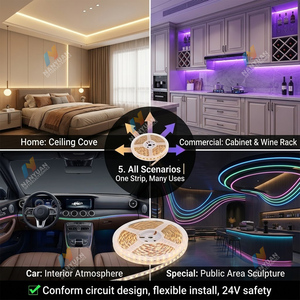 Bande lumineuse LED haute densité 120 LED/m, 12V/24V basse tension, multicolore et <span class=keywords><strong>violet</strong></span> en option pour la décoration de la maison, du commerce et des voitures - Product Image 5