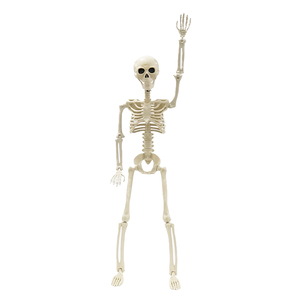 Esqueleto de tamaño real de plástico de alta calidad para Halloween - Product Image 5