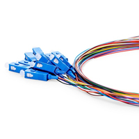 Cable de Fibra Óptica Pigtail SC/UPC de 12 Núcleos de Alta Calidad Apt en Oferta para FTTH