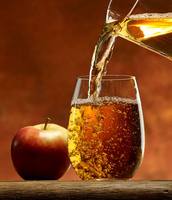 Professionele Appelwijnmaakmachine, hoogwaardige fruitwijnverwerkingslijn