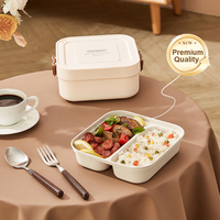 Boîte à lunch électrique en acier inoxydable chauffe-plats portable chauffe-aliments rechargeable auto-chauffant boîte à lunch électrique