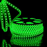 Bande Lumineuse LED Flexible et Personnalisée de 5, 10, 30, 50, 100 Mètres 5V 12V 24V 220V, RGB RGBW SMD 5050 WS2812 WS2811 2835 WS2812b