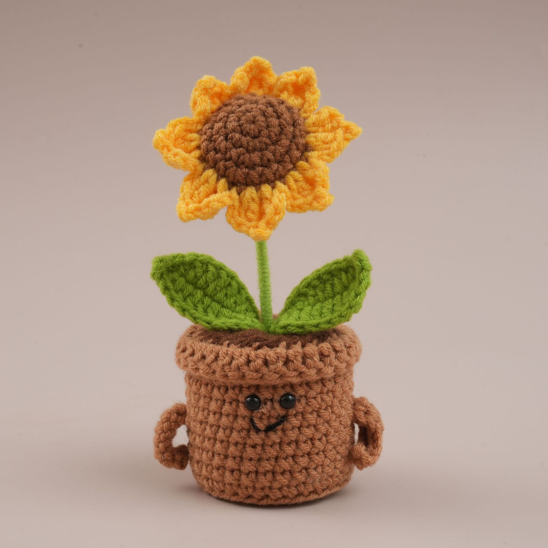 Sunflower potted plant