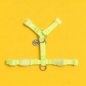 Arnés de perro en forma de Y impermeable recubierto de PVC transpirable moda de lujo cierre de hebilla elegante Simple accesorio de perro personalizado - Product Image 1