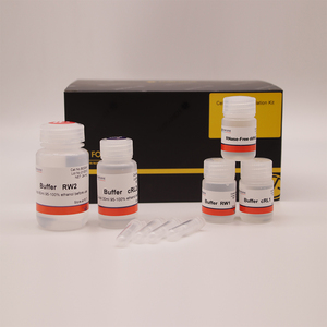 Kits d'isolation d'arn pour les réactifs <span class=keywords><strong>de</strong></span> laboratoire <span class=keywords><strong>de</strong></span> <span class=keywords><strong>la</strong></span> biologique <span class=keywords><strong>moléculaire</strong></span> des cellules - Product Image 6