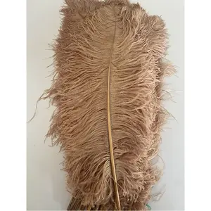 65-70cm Dyed Ostrich Feathers Bulk Wings Femina Large Luxury Centerpiece Black Long Ostrich Feathers For Party Carnival Festival