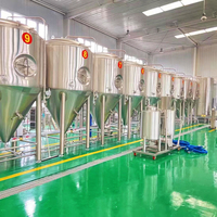 1000L 1500L 2000L Cuve de Fermentation En Acier Inoxydable 304 Bière Fermenteur