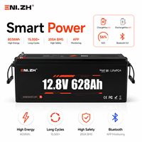 Batterie LiFePO4 à décharge profonde Enlzh 12,8 V 628 Ah 8038 Wh pour systèmes solaires de camping-cars