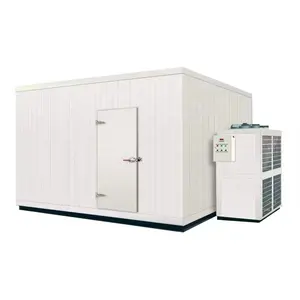 Refrigeration Unit for Cold Room Storage for Efficient Storage Solutions