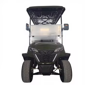 Voiturette de golf électrique de luxe personnalisable à 8 places avec batterie au lithium 48V, autonomie de 70-90 km, basse vitesse, pour le transport en station balnéaire - Product Image 2