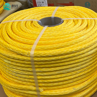 Corde UHMWPE haute résistance 3 mm, corde d'amarrage marine pour yacht, ligne de treuil, corde à 12 brins HMPE pour ring de boxe, ponts de terrain de jeu
