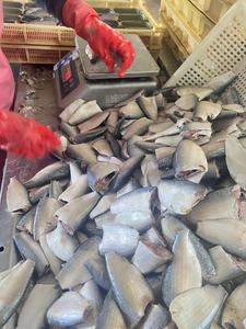 Venda quente de sardinhas enlatadas populares, rico em peixe enlatado de ômega-3, fornecedor chinês - Product Image 5