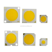 Rétro-éclairage LED RVB 12V cob personnalisé pour lumière végétale