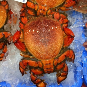 Cao cấp Hoang Dã đánh bắt Spanner cua toàn bộ nấu chín đông lạnh hải sản tươi sống động vật có vỏ lý tưởng cho khách sạn nhà hàng phục vụ và xuất khẩu - Product Image 5