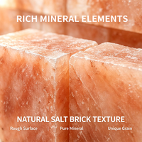 Briques de sel de roche de l'Himalaya en gros, écologiques, en sel rose, pour centres de thérapie par le sel, grottes de sel, et salles de vapeur.