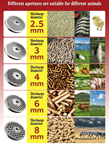 Linea Completa per la Produzione di <span class=keywords><strong>Pellet</strong></span> di Biomassa con Stampi Piatti Resistenti all'Usura per Segatura di Legno e Scarti Agricoli, Motore da 15 kW, Facile da Usare - Product Image 4