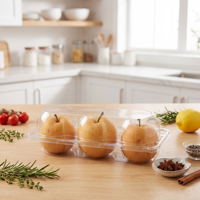 Boîte alimentaire jetable en plastique thermoformé pour fruits (fraises), sushis, pizzas, nouilles, hamburgers à emporter - PET MINXING