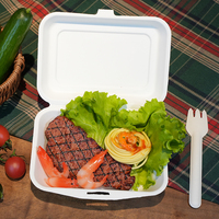 Couvercle de bol à salade biodégradable écologique compostable jetable canne à sucre bagasse conteneur d'aliments frais pour la préparation des repas restauration
