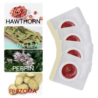 Patch Minceur Ombilical GUOCUI BIO TECH – Perte de Poids Rapide, Brûle-Graisse LSD, Patchs Amincissants pour le Corps, Patch Ombilical Amincissant pour Abdomen (Utilisation Facile)
