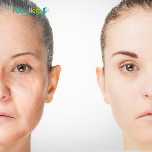 Focusherb ผง98% บริสุทธิ์1143-70-0ผงยูโรลิตินจากคลังสินค้า USA - Product Image 2