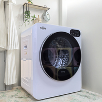 Allsing Sèche-linge électrique rapide Mini-sèche-linge portable en acier inoxydable pour l'appartement Aucune installation requise Rafraîchissant