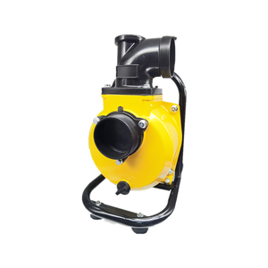 Pompe centrifuge auto-amorçante de 1 pouce 750 W pour l'irrigation agricole, pompe centrifuge auto-amorçante LXXP-25, pompe à eau solaire - Product Image 6