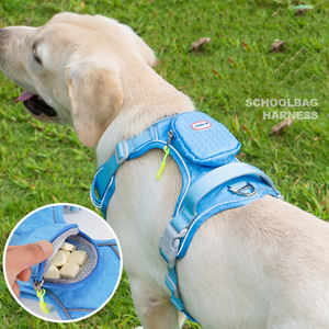 2025 meilleure vente chaude <span class=keywords><strong>harnais</strong></span> <span class=keywords><strong>pour</strong></span> chien réglable et collier de laisse avec matière première de qualité supérieure en plein air <span class=keywords><strong>pour</strong></span> chiens et animaux de compagnie - Product Image 6