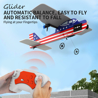 Mini avion de simulation anti-crash 2.4g 50m planeur de chasse à distance avec lumière froide opération facile avion de jeu pour enfants