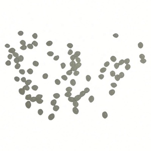 Moulage de granulés PLA sacs poubelles ménagers biodégradables compostables sacs à ordures fécule de maïs matière première soufflant - Product Image 6