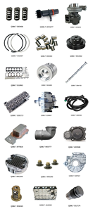 Engrenage <span class=keywords><strong>de</strong></span> vilebrequin 3955150 pièces <span class=keywords><strong>de</strong></span> rechange pour <span class=keywords><strong>moteur</strong></span> diesel Cummins Qsb6.7 avec <span class=keywords><strong>moteur</strong></span> diesel marin Cum Mins vente toutes les pièces cummins - Product Image 6