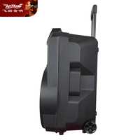 Haut-parleur audio portable de fête à chariot, 15 pouces, sans fil, Bluetooth, USB, pour extérieur, avec fonction cinéma, son puissant, modèle exclusif et économique, pour DJ et événements.