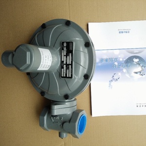 CS200 CS400 CS800 Series Gas Regulator Reducing Ball Skid Mount Package OEM Customizable CS200 CS400 CS800 Reducing Reg - Product Image 5