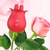 TMM Rose Toy Vibrator mit 10 Geschwindigkeiten USB-Aufladung & IPX6 Wasserdicht für Klitoris-/Nippelstimulation Paare Vorspiel-Vergnügen