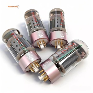 <span class=keywords><strong>Amplificador</strong></span> de Guitarra Profesional <span class=keywords><strong>para</strong></span> el Hogar PSVANE 6550-PT con Válvulas de Otros Canales, Hecho en China - Product Image 4