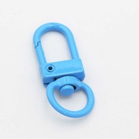 Porte-clés en métal et pendentif arc-en-ciel pour accessoires de bijoux gay et lesbiens, accessoires de sac, porte-clés de remorque, mousqueton pivotant