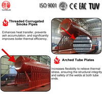 Chaudière à vapeur à bois à grille à chaîne de 0,5T 1T 2T 3T 4T 6T 8T 10T 12T 15 tonnes/h 20 tonnes/h, alimentée par des copeaux de bois biomasse