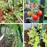 Tuteurs de plantes en métal pour tomates, aubergines, haricots, vignes, et piquets de légumes pour serres et jardins domestiques